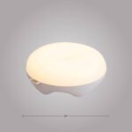 CATCHING LIGHT - Image 3