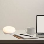 CATCHING LIGHT - Image 5